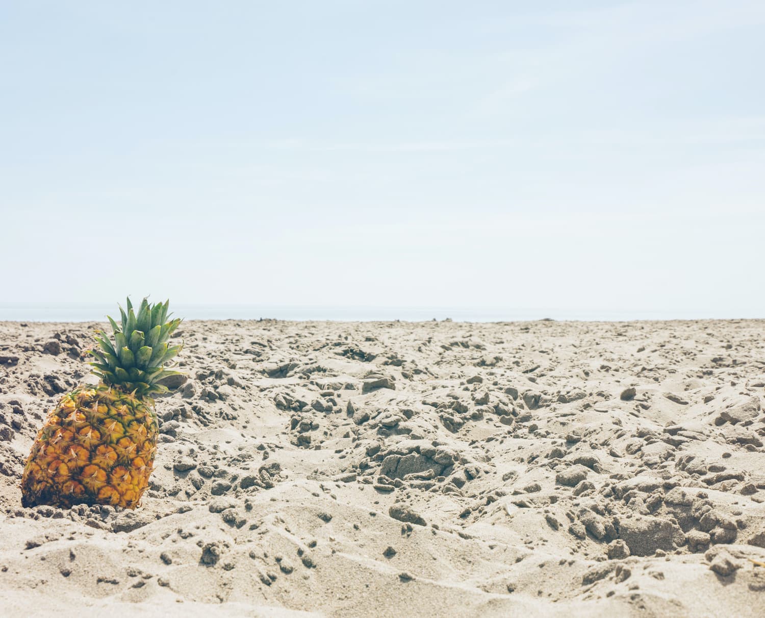 ¿Por qué visitar la Costa Dorada?
