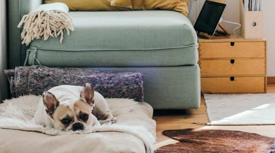 ¿Alquilas en Booking.com? Descubre cómo Weguest te ayuda