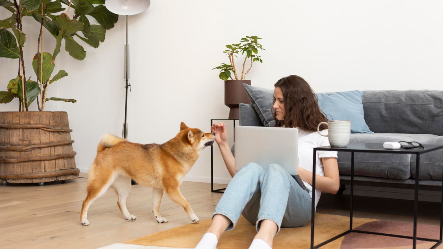 Ejemplo de cómo adaptar un salón para convertirlo en un alojamiento pet friendly cómodo para huéspedes y animales.