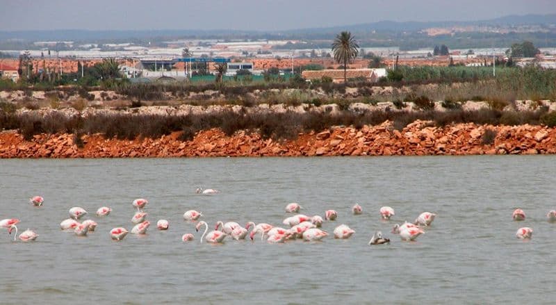 planes de verano en Murcia