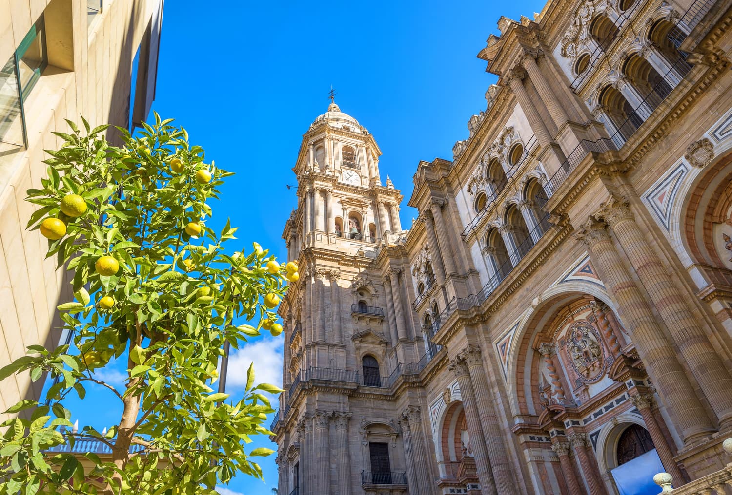 https://storage.googleapis.com/weguest-strapi-uploads/malaga1_959ab8d4b4/malaga1_959ab8d4b4.jpg