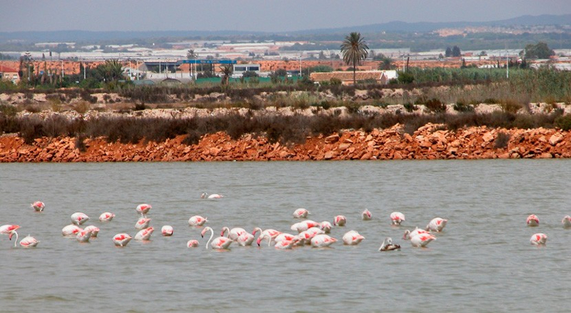 planes de verano en Murcia