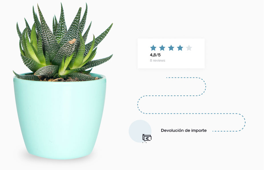 Cactus.
