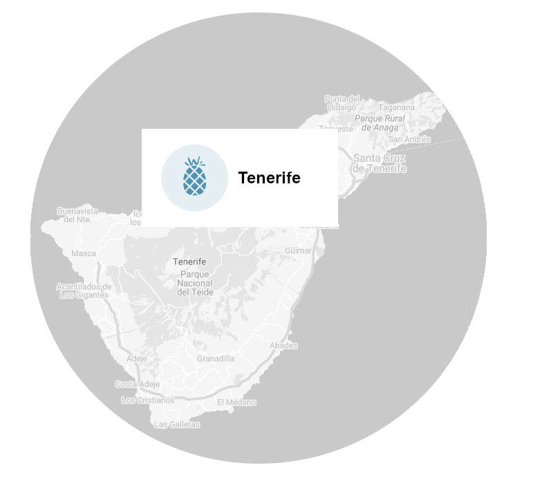 Immer eine persönliche Betreuung – Teneriffa