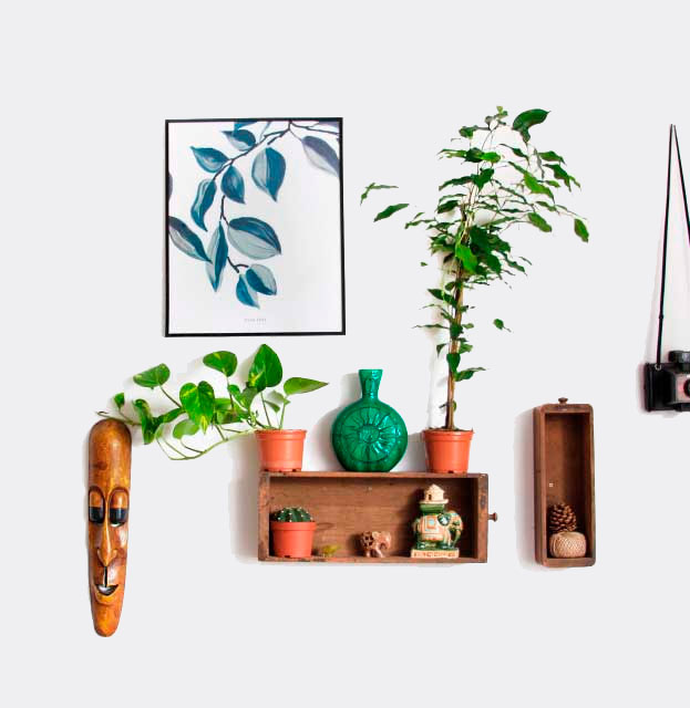 Pared con plantas